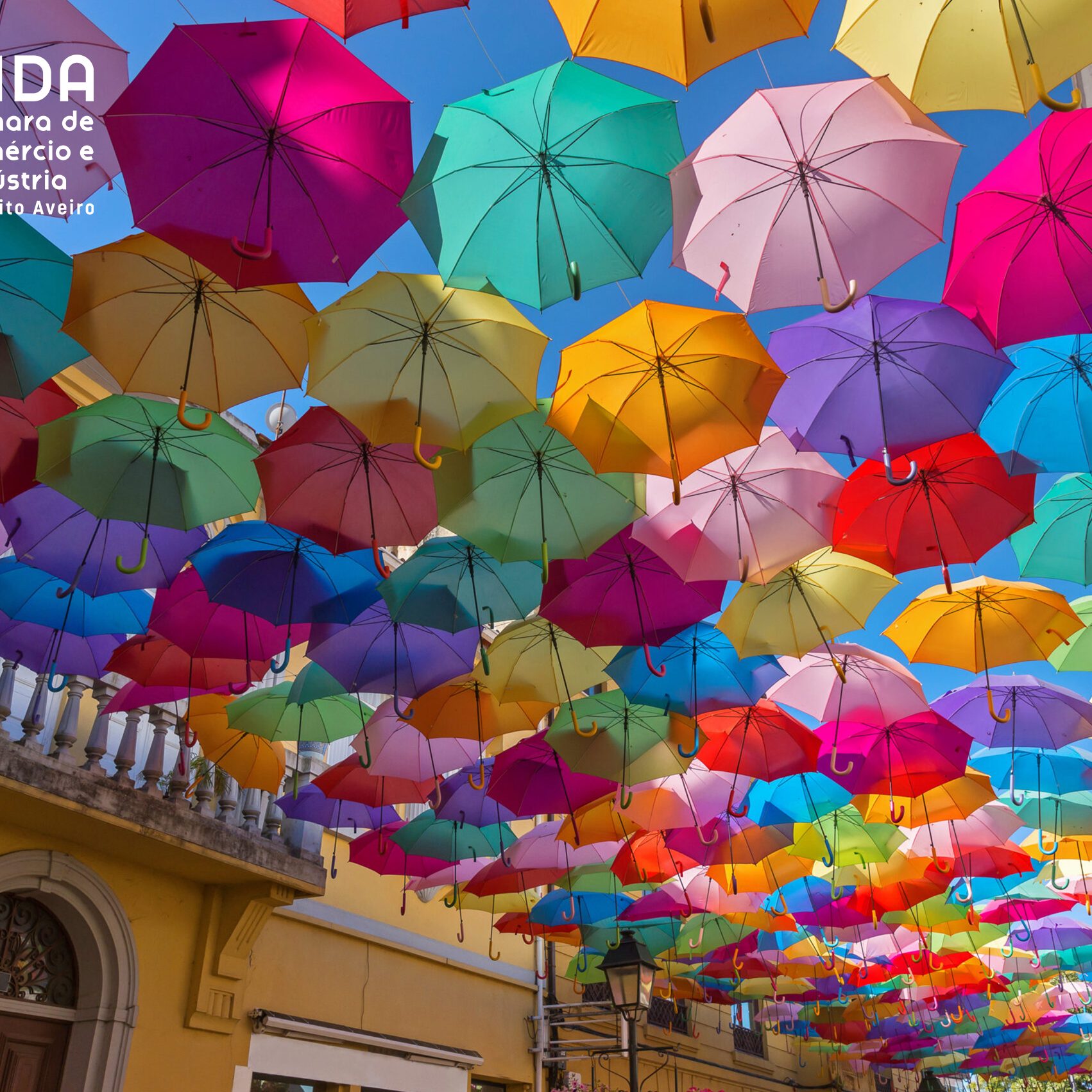 Nova Identidade Visual | New Visual Identity