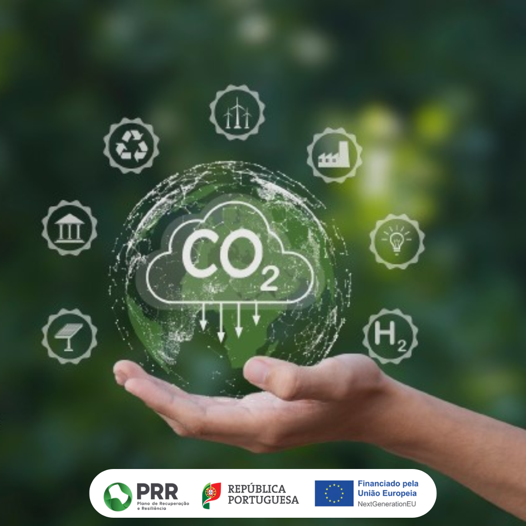 Ferramenta de apoio ao cálculo da pegada de carbono | Carbon Footprint calculation support tool